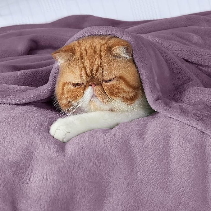 Bedsure Fleece King Size Blankets for Bed Fog Purple - Soft Lightweight Plush Cozy Fuzzy Luxury Microfiber, 108x90 inches