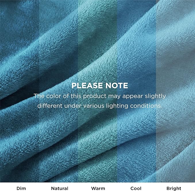 Bedsure Bedding Fleece Blanket for Girls and Boys - Soft Cozy Cute Small Throw Blankets for Travel, 43x55 Inches,Teal Blue