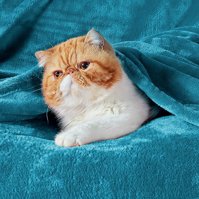Bedsure Bedding Fleece Blanket for Girls and Boys - Soft Cozy Cute Small Throw Blankets for Travel, 43x55 Inches,Teal Blue