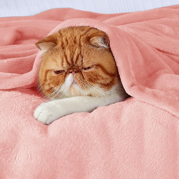 Bedsure Fleece Throw Blanket for Couch Pink - Lightweight Plush Fuzzy Cozy Soft Blankets and Throws for Sofa, 50x60 inches