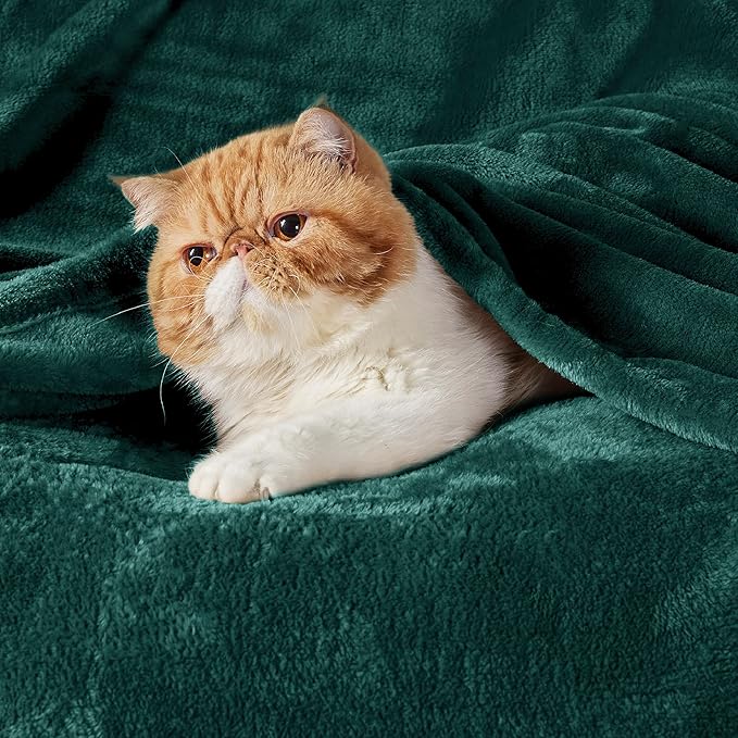 Bedsure Fleece Blankets King Size Emerald Green - Bed Blanket Soft Lightweight Plush Cozy Fuzzy Luxury Microfiber, 108x90 inches