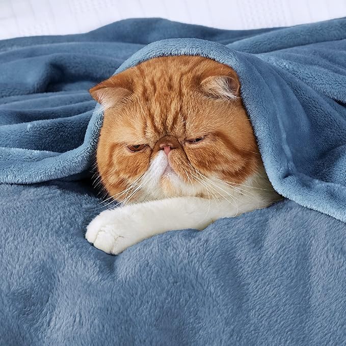 Bedsure Fleece Blanket Twin Size Washed Blue - 300GSM Lightweight Plush Fuzzy Cozy Soft Warm Blanket for Bed, Sofa, Couch, Travel, Camping, 60x80 inches