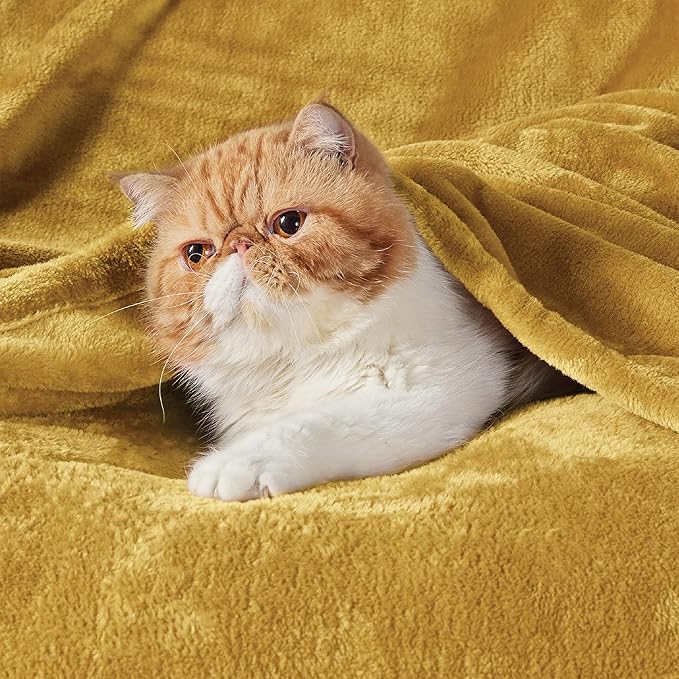 Bedsure Twin XL Fleece Blanket Dorm Bedding - Lightweight Soft Cozy Blankets for Bed, Sofa, Couch, Travel, Camping, Yellow, 66"x90"