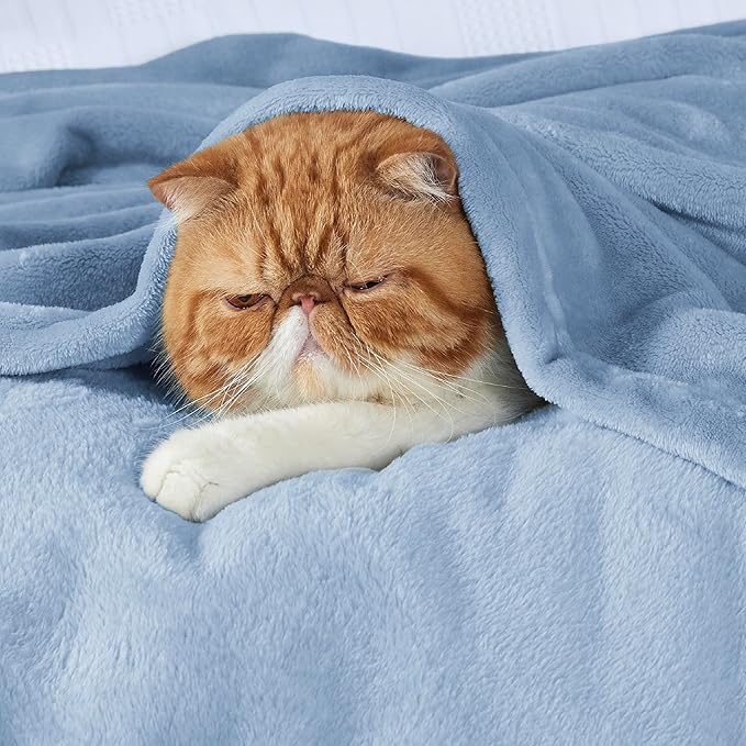 Bedsure Twin XL Fleece Blanket Dorm Bedding - Lightweight Soft Cozy Blankets for Bed, Sofa, Couch, Travel, Camping, Light Blue, 66"x90"