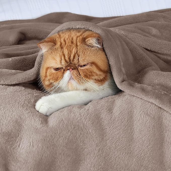 Bedsure Fleece King Size Blankets for Bed Mocha Brown - Soft Lightweight Plush Cozy Fuzzy Luxury Microfiber, 108x90 inches