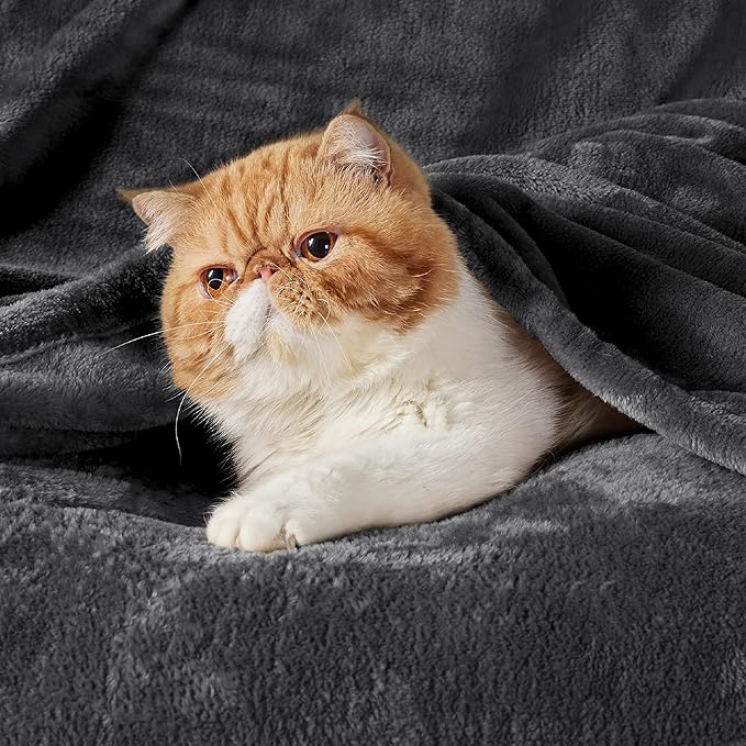 Bedsure Fleece Blanket Twin Size Dark Grey - 300GSM Lightweight Plush Fuzzy Cozy Soft Warm Blanket for Bed, Sofa, Couch, Travel, Camping, 60x80 inches